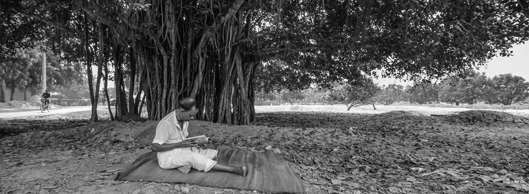 A man reading on a mat beneath a large banyan tree
